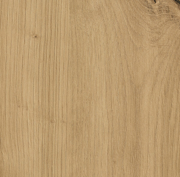 Wilde eik natuur - H1318 ST10